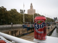 /album/my-cans/fanta-strawberry-esp-2-jpg/